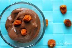 snabb proteinrik choklad mousse med avokado lissfit